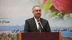 جهش ۲۵ درصدی تولیدات کشاورزی در قطب سیب درختی کشور/ آذربایجان‌غربی هاب صادراتی منطقه می‌شود